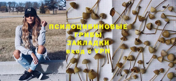 стаф Абдулино