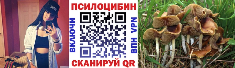 Псилоцибиновые грибы мицелий  цена наркотик  Новочебоксарск 